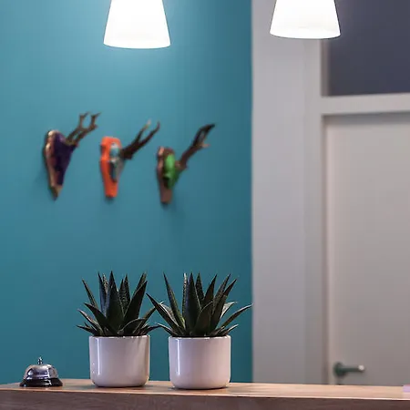 Gasthuis Zum Hirsch 3*