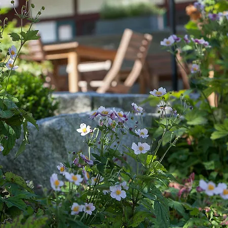 Guest house Zum Hirsch 2*