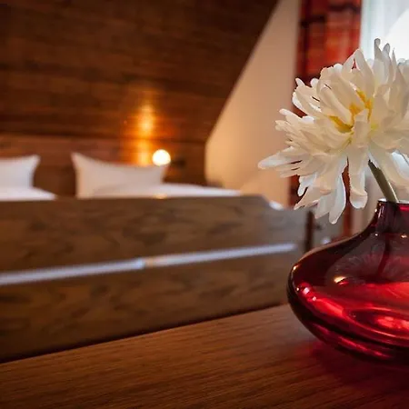 Gasthuis Zum Hirsch 3*