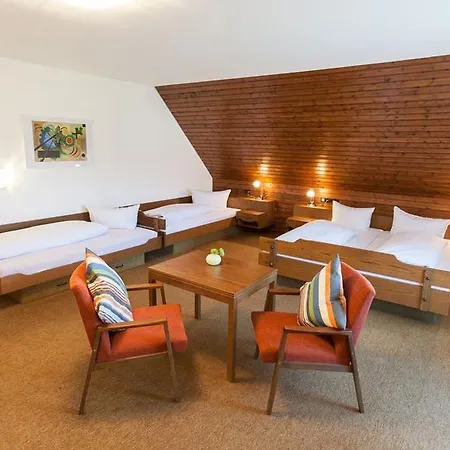 Gasthuis Zum Hirsch 3*