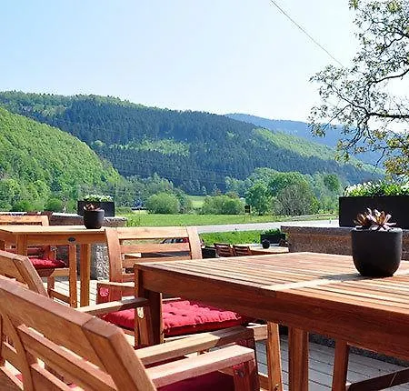 Guest house Zum Hirsch 2*