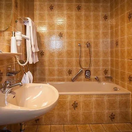 Gasthuis Zum Hirsch Gutach